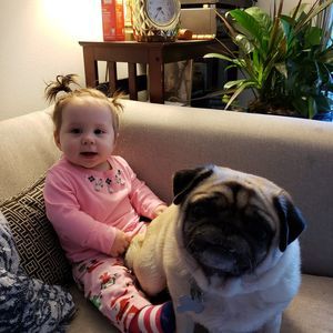 Meet your Posher, Lindsay